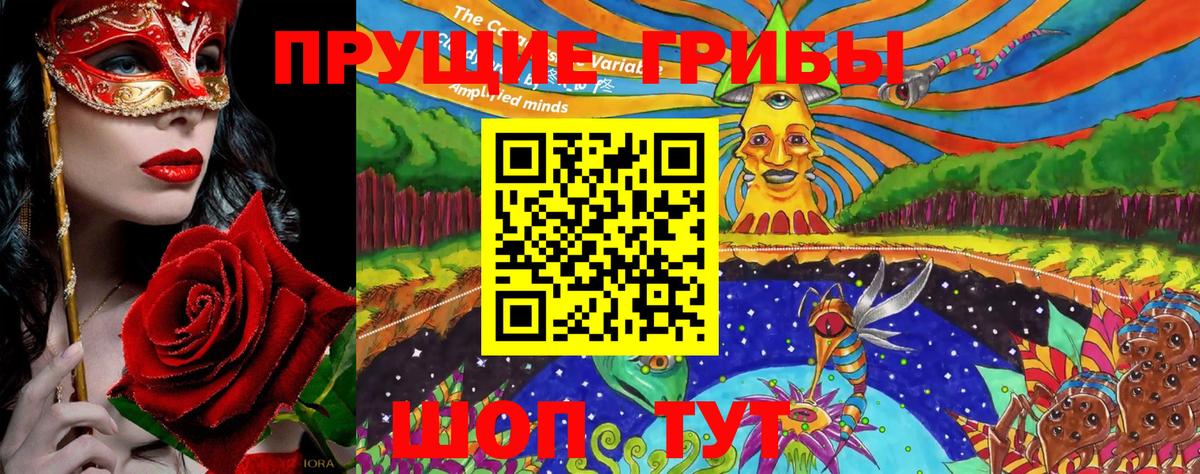 Псилоцибиновые грибы прущие грибы Усинск