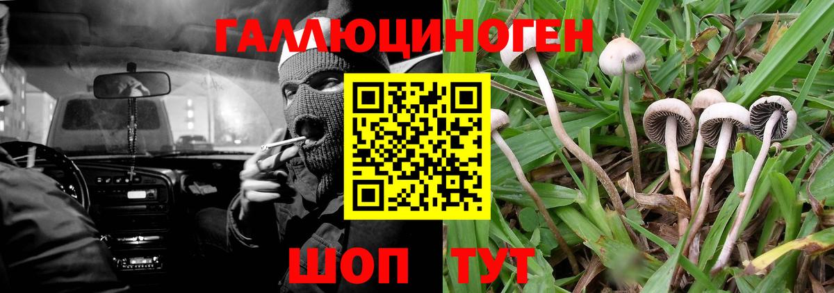 Галлюциногенные грибы Psilocybine cubensis  Псилоцибиновые грибы мицелий  Вход с VPN  Усинск 
